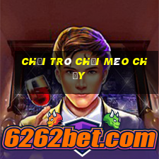 chơi trò chơi mèo chạy