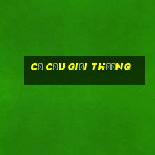 cơ cấu giải thưởng