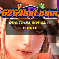 Ông trùm bắn cá được chia