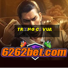 trường cờ vua