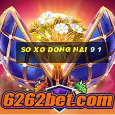 so xo dong nai 9 1