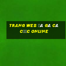 trang web đá gà cá cược online