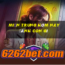 miền trung hôm nay đánh con gì