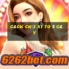 cách chơi xì to 5 cây