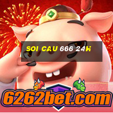 soi cau 666 24h