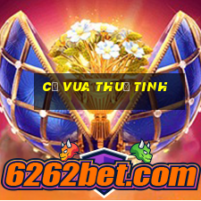 cờ vua thuỷ tinh