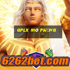 gplx mô phỏng