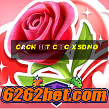 Cách đặt cược XSDNO