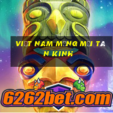 Việt nam Mạng mới Tân Kinh