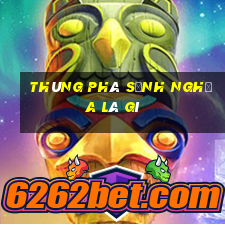 thùng phá sảnh nghĩa là gì