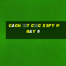 Cách đặt cược XSPY ngày 9