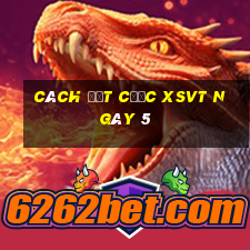 Cách đặt cược XSVT ngày 5