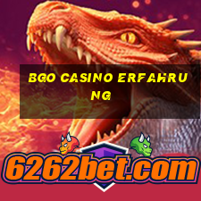 bgo casino erfahrung