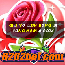 giải vô địch bóng đá đông nam á 2024