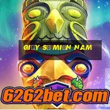 giấy số miền nam