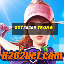 bet36365 trong