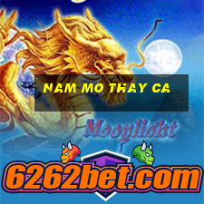 nam mo thay ca