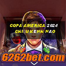 copa america 2024 chiếu kênh nào