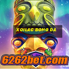 xoilac bong da