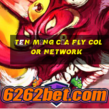 Tên mạng của Fly Color Network