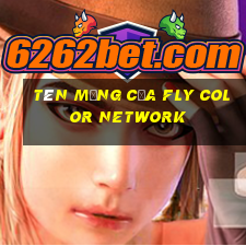 Tên mạng của Fly Color Network