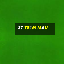 37 trạm màu