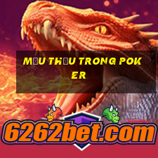 Mậu thầu trong poker