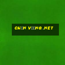 chắn vương .net