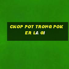 chop pot trong poker là gì