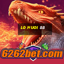 lo nuoi 88