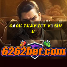 cách thay bệt vệ sinh