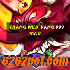 trang wed vàng 999 màu