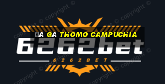 đá gà thomo campuchia