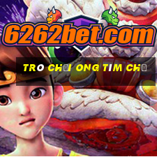 trò chơi ong tìm chữ