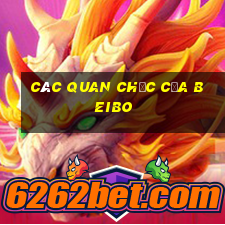 Các quan chức của Beibo