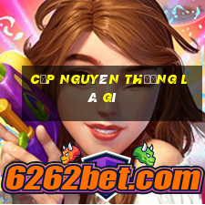 cặp nguyên thưởng là gì