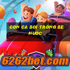 con ca boi trong be nuoc