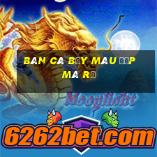 bán cá bảy màu đẹp mà rẻ