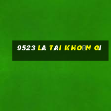 9523 là tài khoản gì