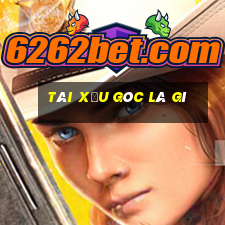 tài xỉu góc là gì