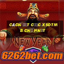 Cách đặt cược XSDTMB Chủ Nhật