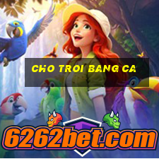 cho troi bang ca