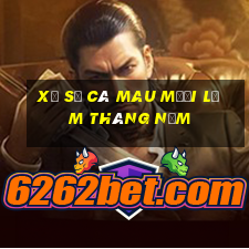 xổ số cà mau mười lăm tháng năm