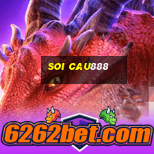 soi cau888