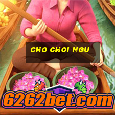 cho choi ngu