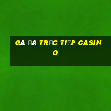 gà đá trực tiếp casino