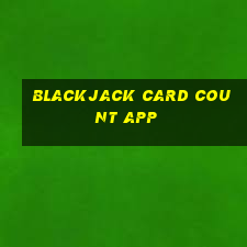 blackjack card count app