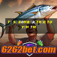 tỷ số bóng đá trực tuyến 7m