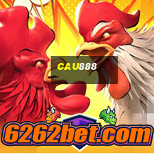 cau888