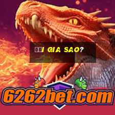 Đại gia sao?